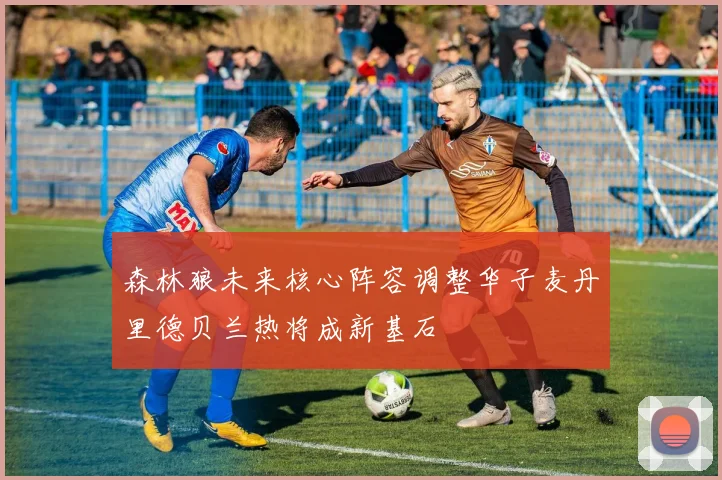 森林狼未来核心阵容调整华子麦丹里德贝兰热将成新基石